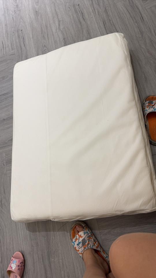 沙發清潔案件圖片