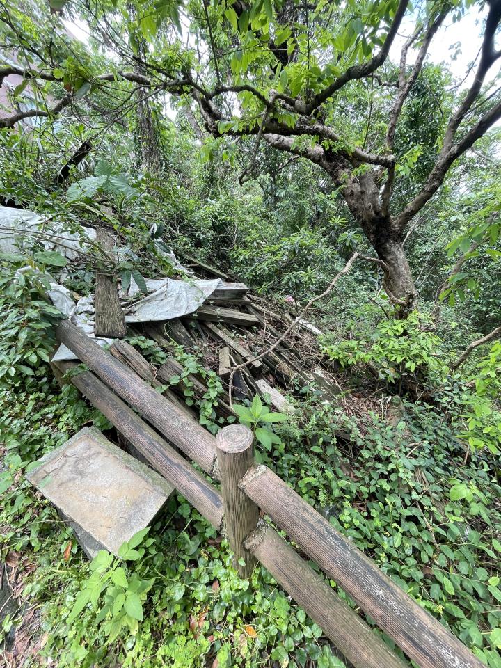 園藝維護案件圖片