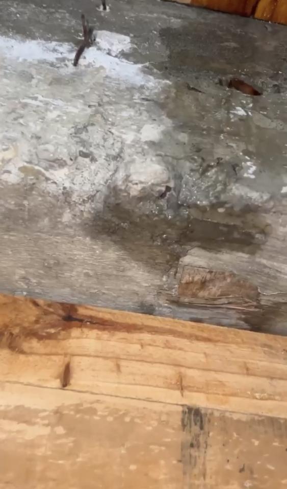 泥作/水泥施工案件圖片