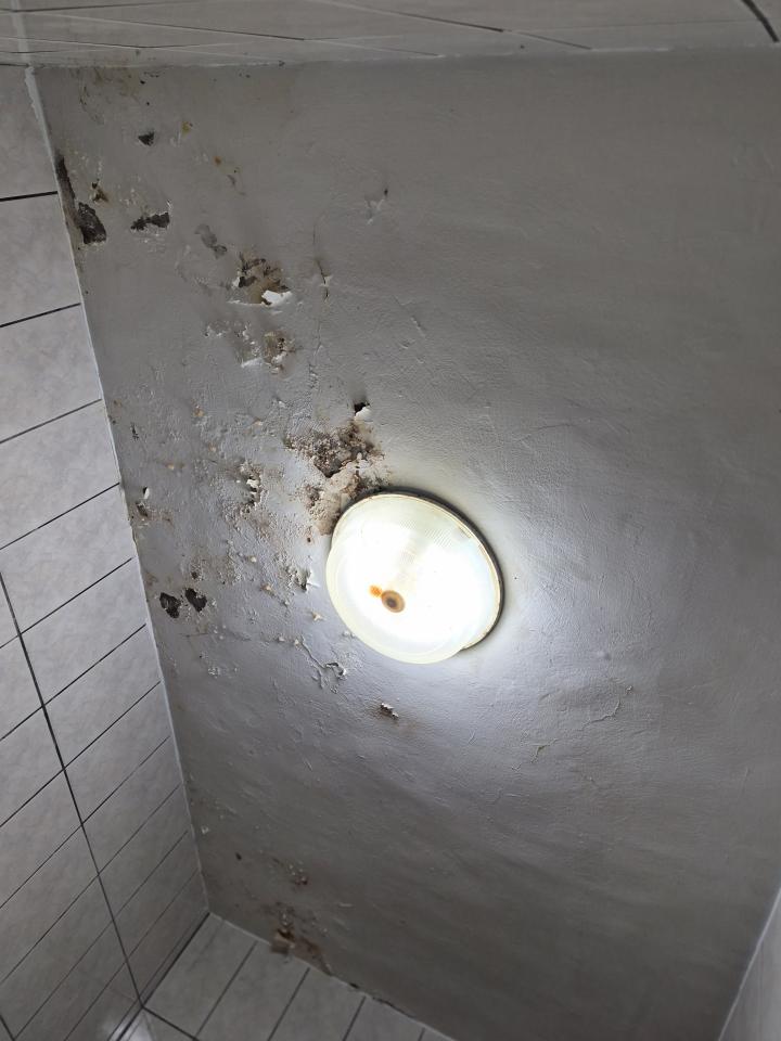 漏水處理案件圖片