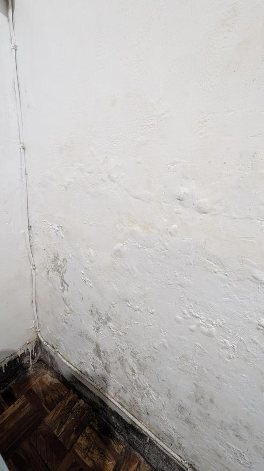 漏水處理案件圖片