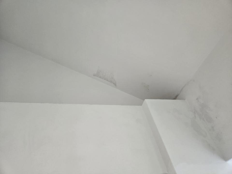 油漆工程案件圖片