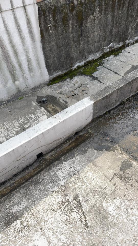 屋頂防水案件圖片