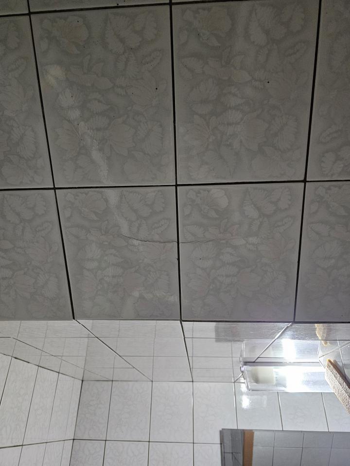 磁磚修補案件圖片