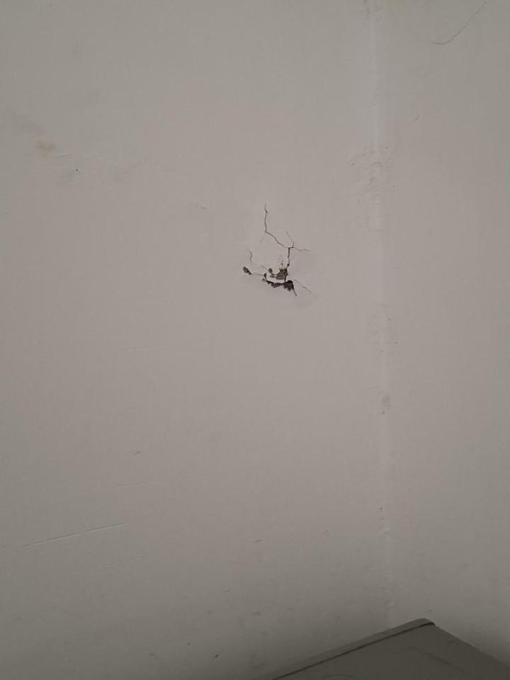 油漆工程案件圖片