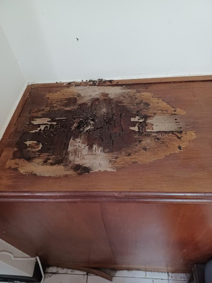 木工施工案件圖片