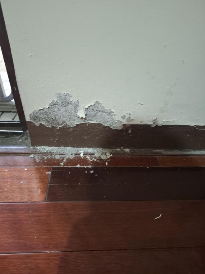 油漆工程案件圖片