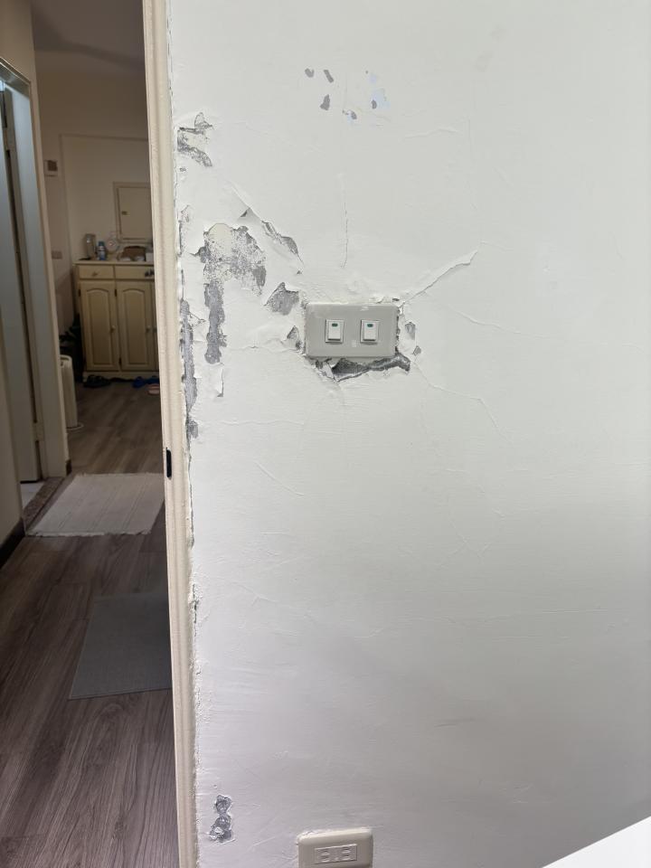 油漆工程案件圖片