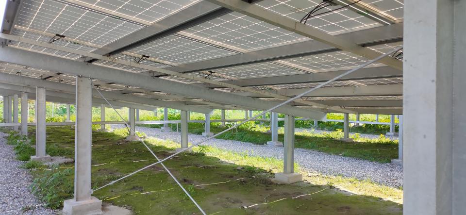 園藝維護案件圖片