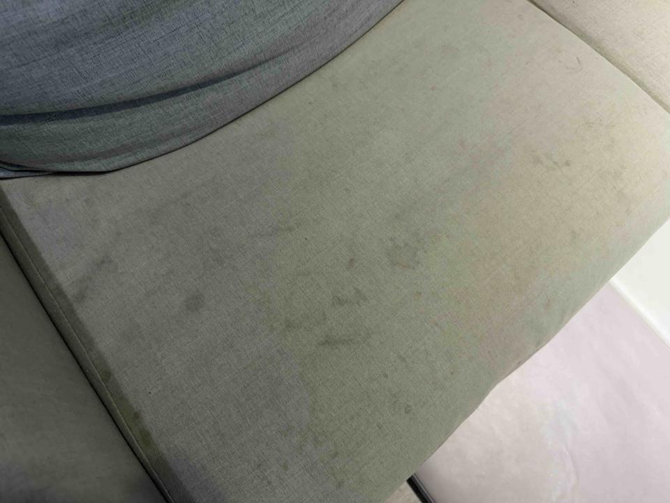 沙發清潔案件圖片