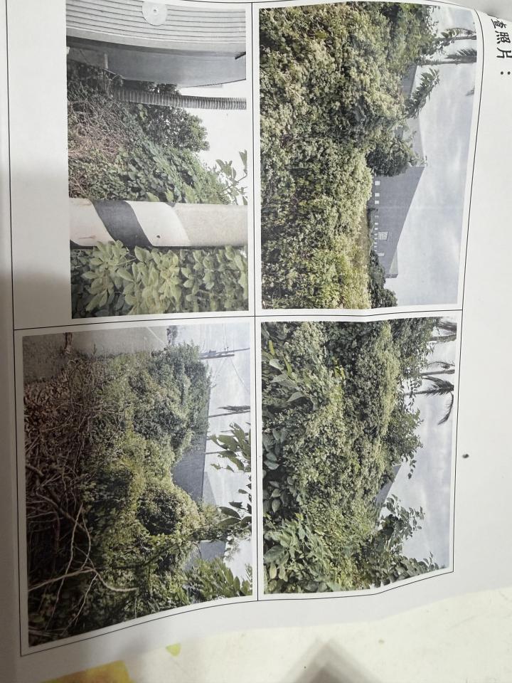 園藝維護案件圖片