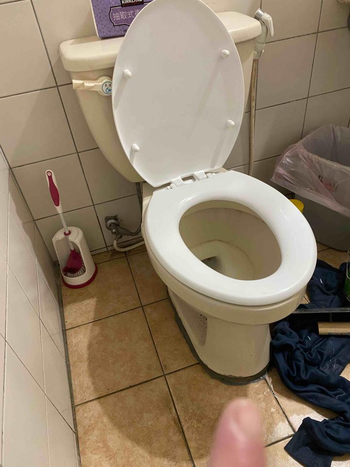 馬桶裝修案件圖片