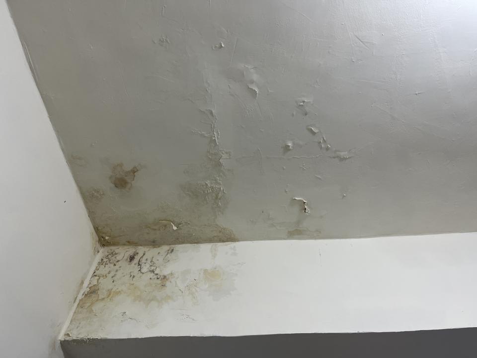 油漆工程案件圖片