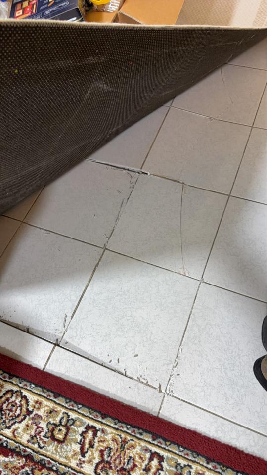 磁磚修補案件圖片