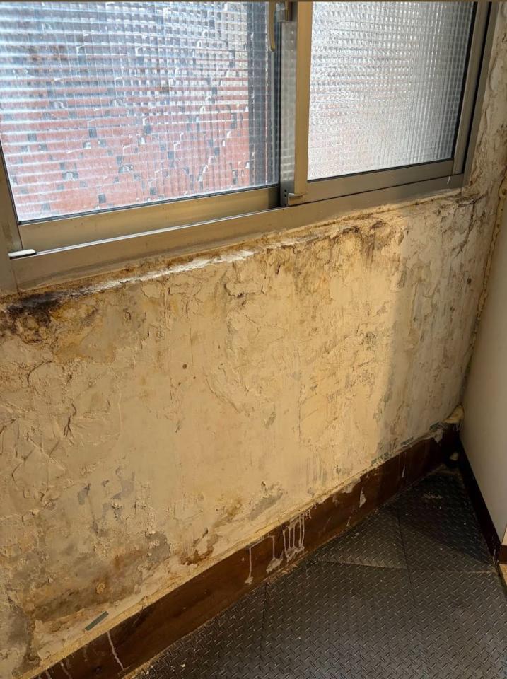 油漆工程案件圖片