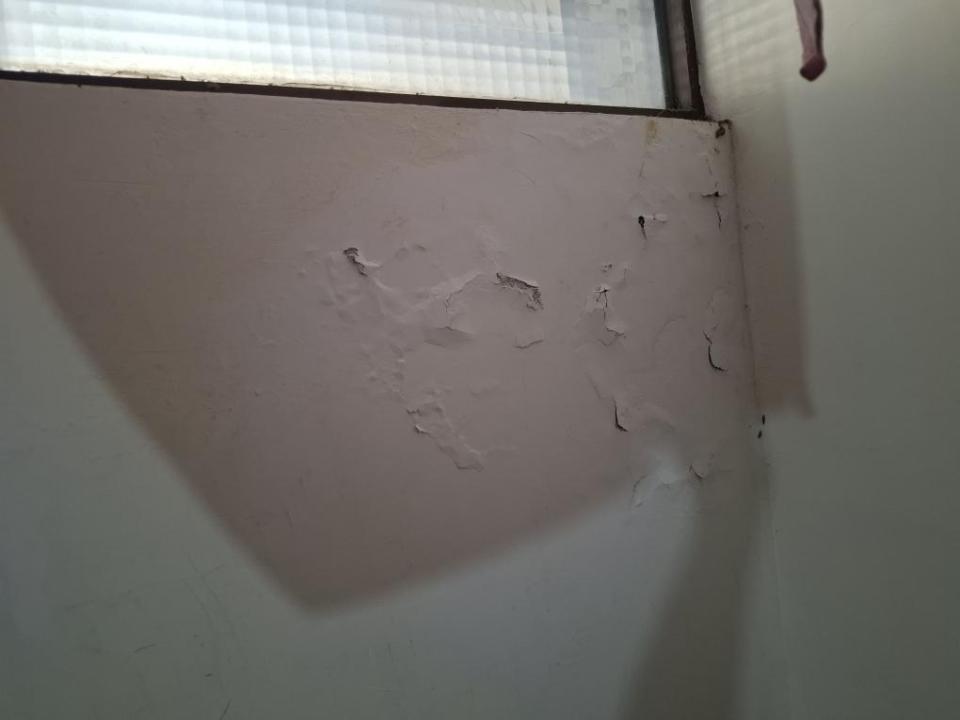 油漆工程案件圖片