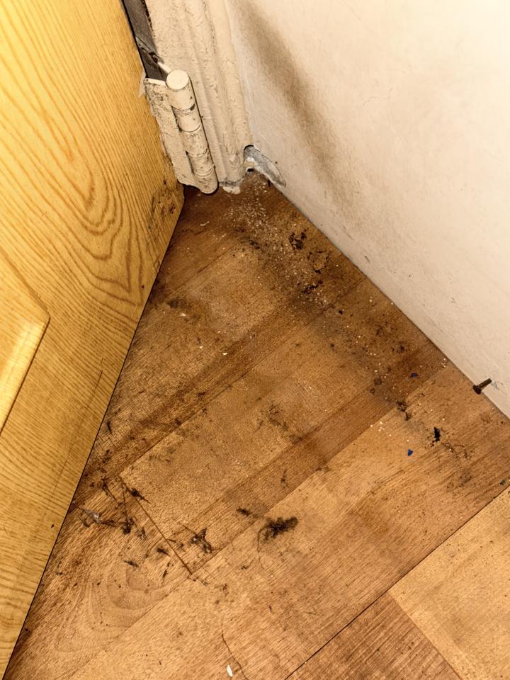 拆除工程案件圖片