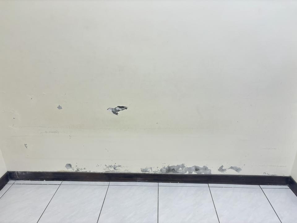 油漆工程案件圖片