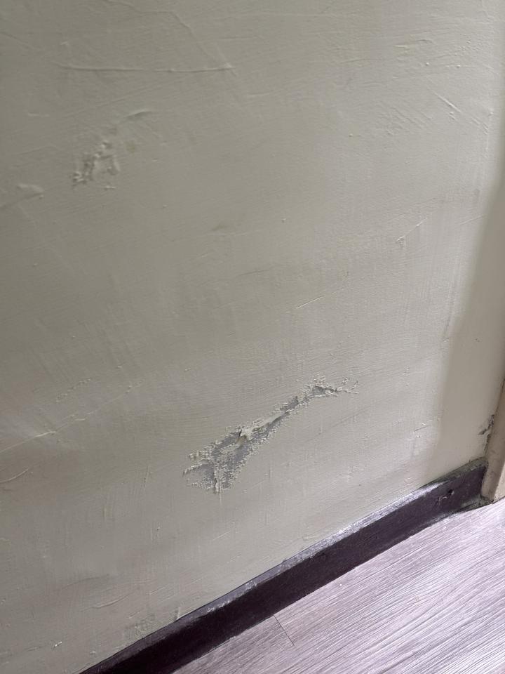 油漆工程案件圖片