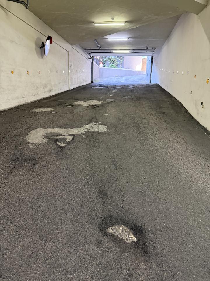 瀝青工程案件圖片