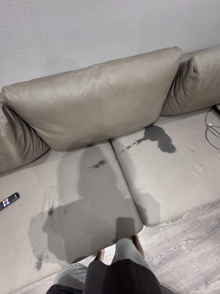 沙發清潔案件圖片