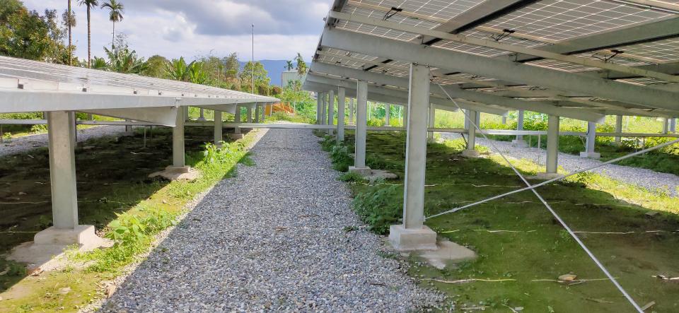 園藝維護案件圖片