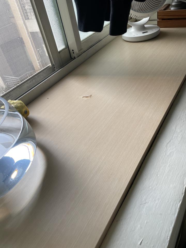 木工施工案件圖片