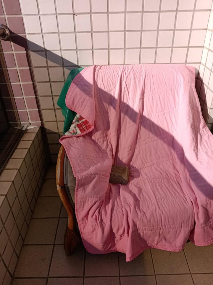 大型垃圾回收案件圖片