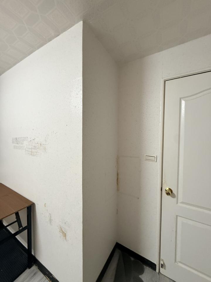 壁紙施工案件圖片