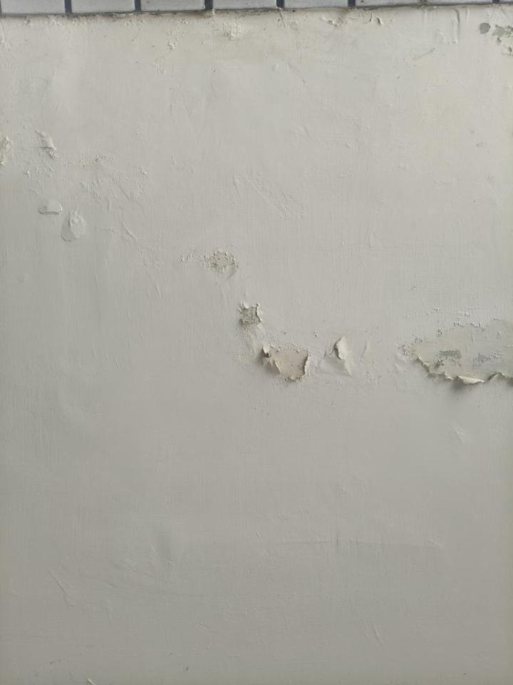 油漆工程案件圖片