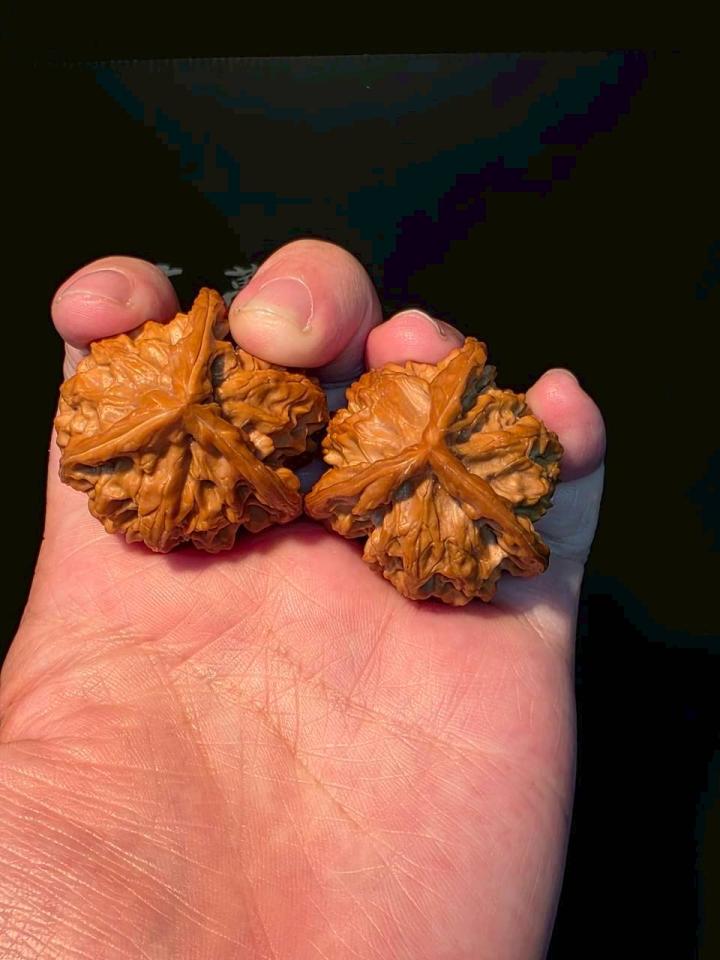 直播帶貨案件圖片