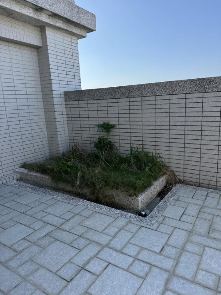 園藝設計案件圖片