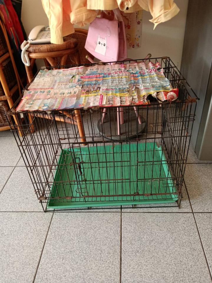 大型垃圾回收案件圖片