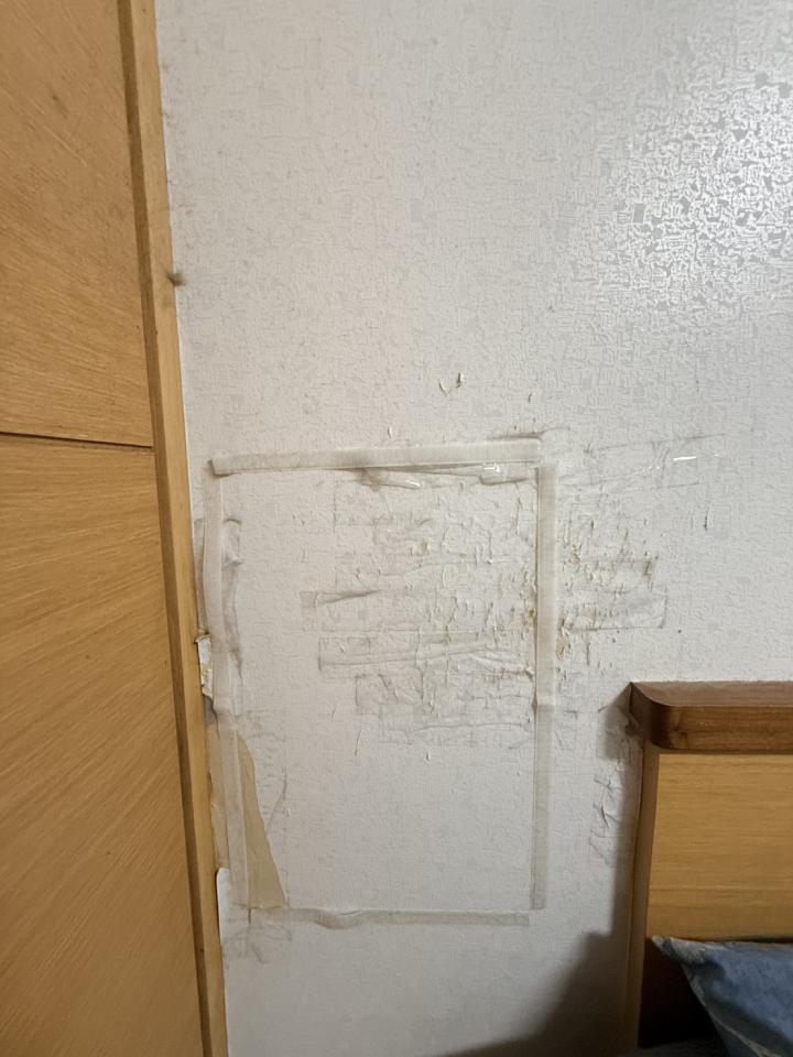 壁紙施工案件圖片