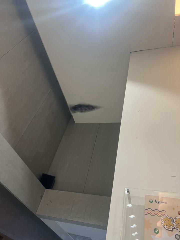 木工施工案件圖片