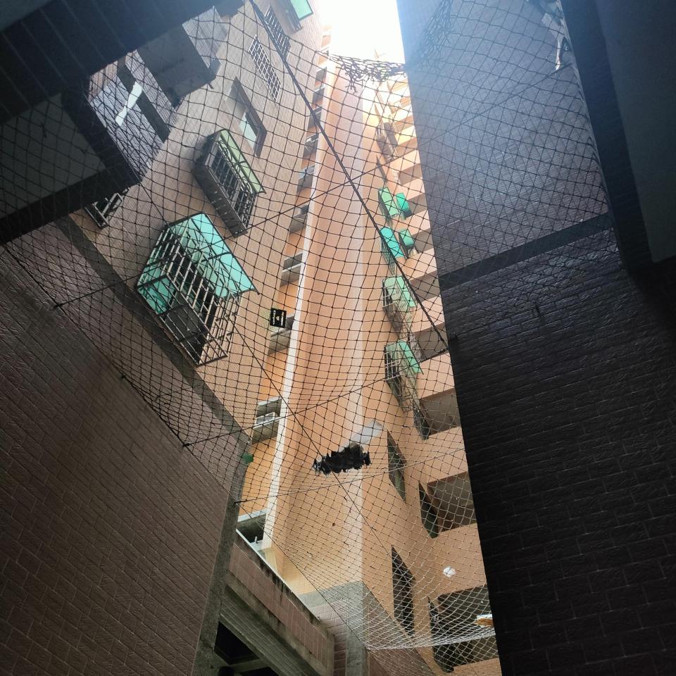 防墜網安裝案件圖片