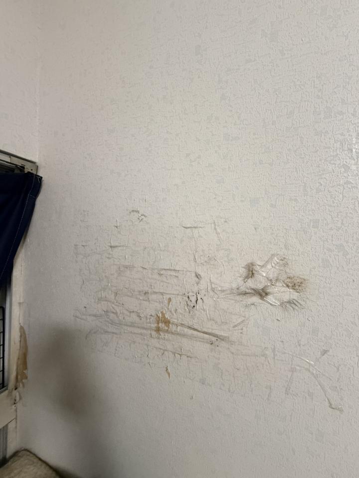 壁紙施工案件圖片