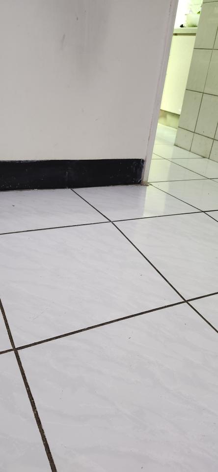 磁磚修補案件圖片
