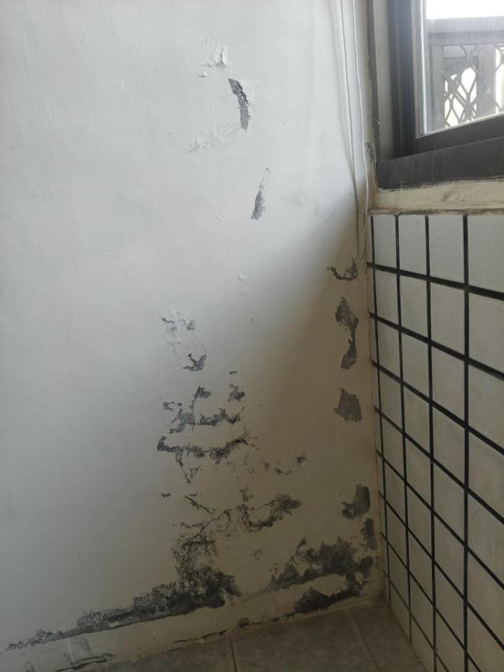 油漆工程案件圖片