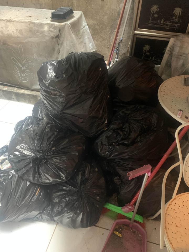 代收垃圾案件圖片