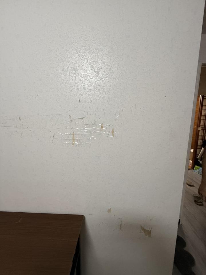 壁紙施工案件圖片