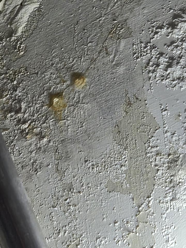 屋頂防水案件圖片