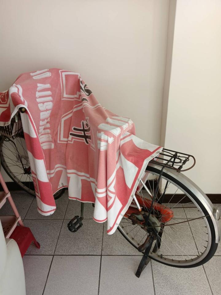 大型垃圾回收案件圖片