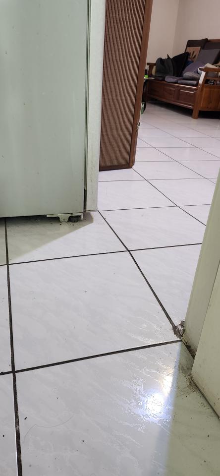 磁磚修補案件圖片