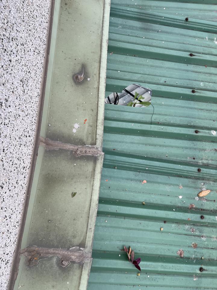 採光罩案件圖片