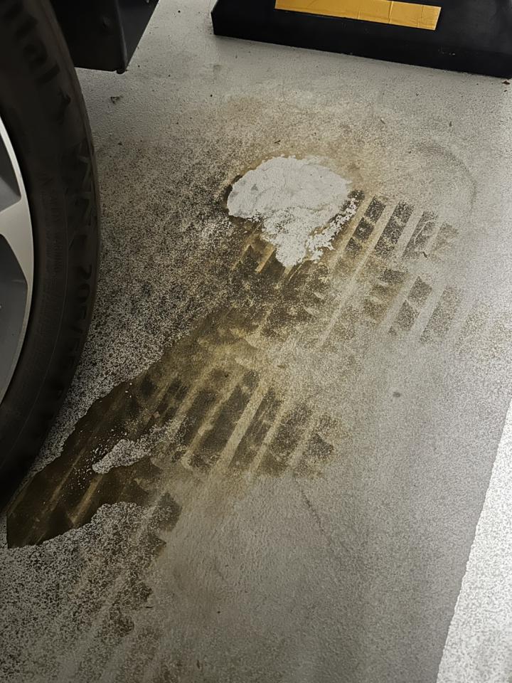 自平水泥案件圖片