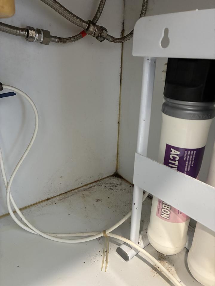 浴室除霉清潔案件圖片