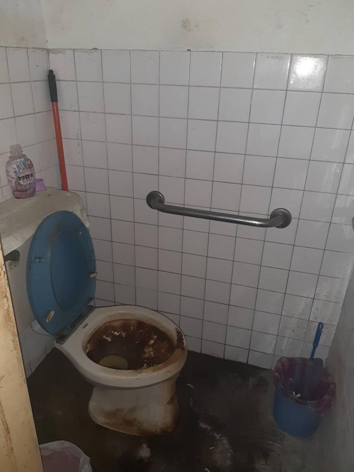 馬桶裝修案件圖片