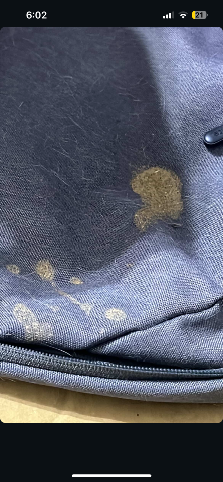 洗包包案件圖片