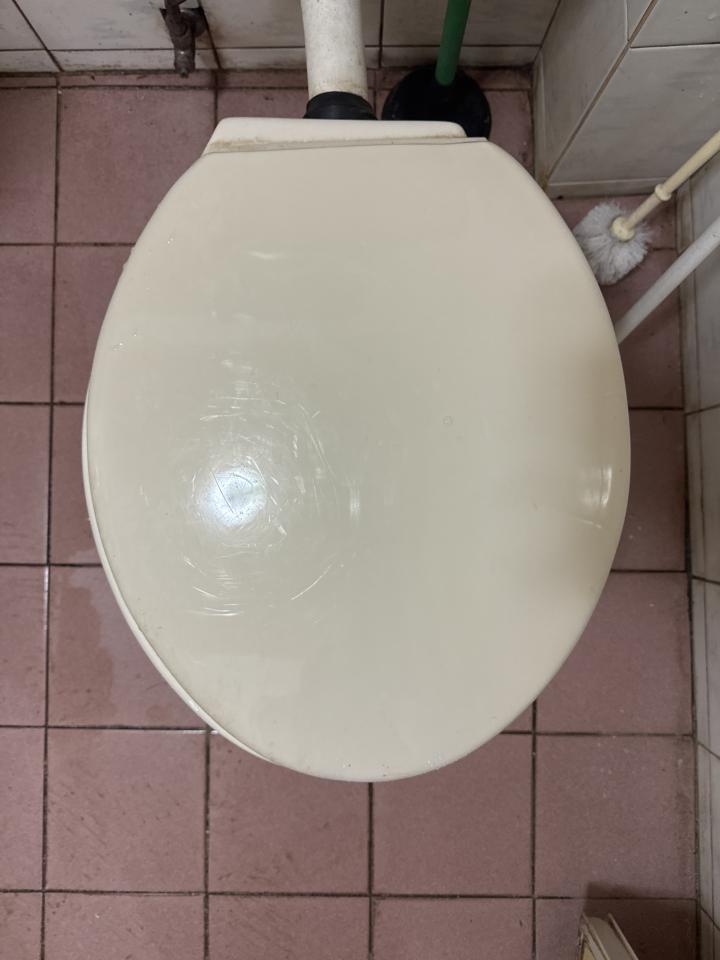 馬桶裝修案件圖片